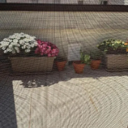 Mini Attico Con Vista *